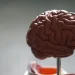 Apa yang Terjadi Saat Otak Kita Kosong?