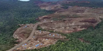 Penataan Lingkungan Tambang Nikel Pulau Gag, Apa Hasilnya?