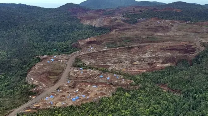 Penataan Lingkungan Tambang Nikel Pulau Gag, Apa Hasilnya?